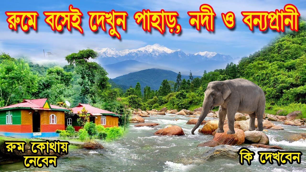 Dooars Tour Plan : Buxa Jayanti Tour, Dooars tour guide in bengali