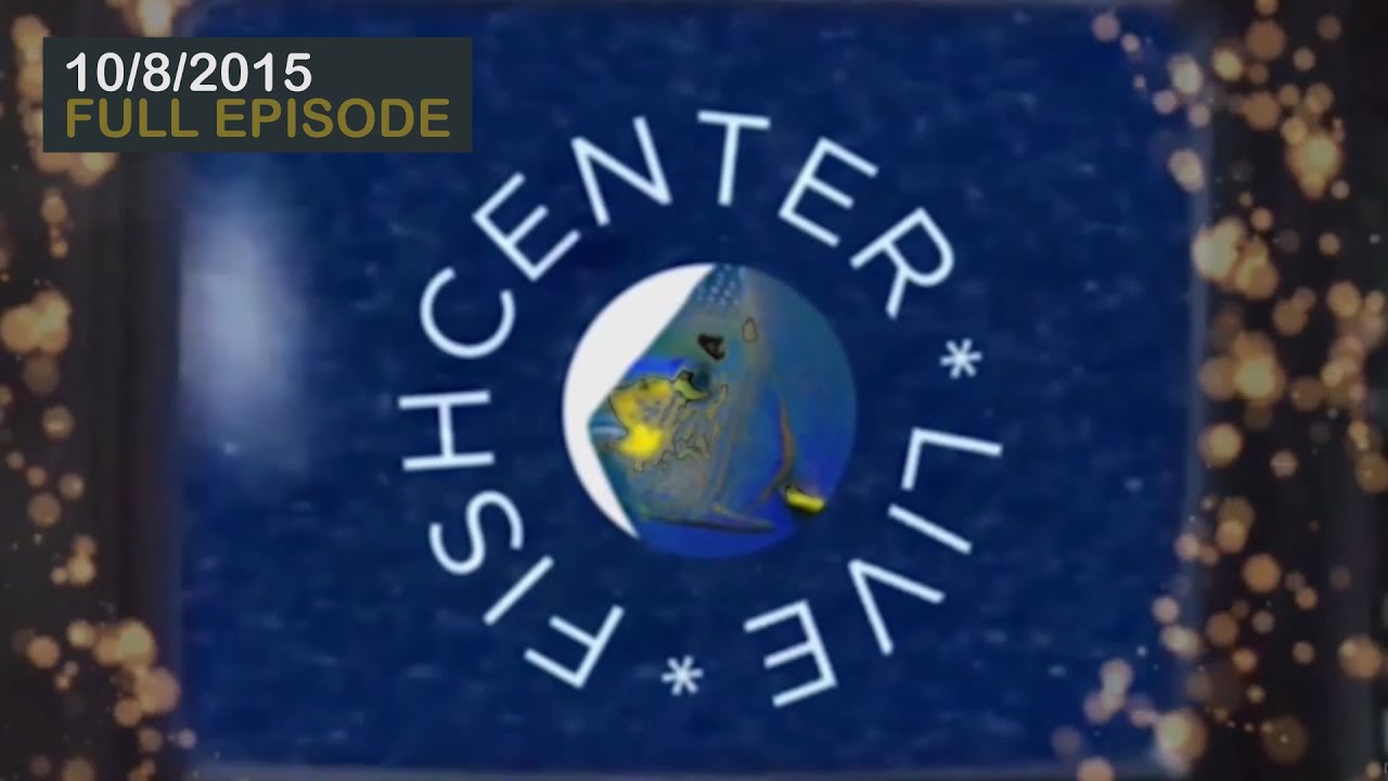 Fishcenter - October 8, 2015