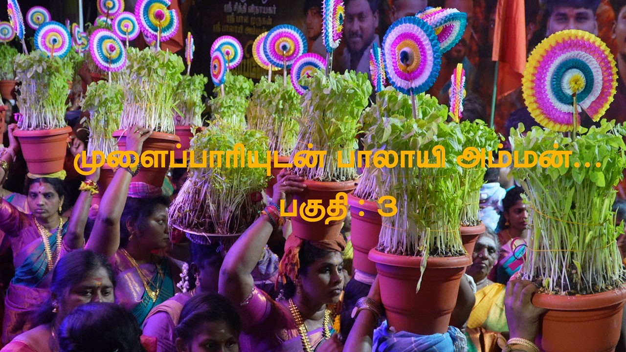 முளைப்பாரியுடன் பாலாயி அம்மன் பகுதி 3 | காந்தி நகர் புதுக்கோட்டை