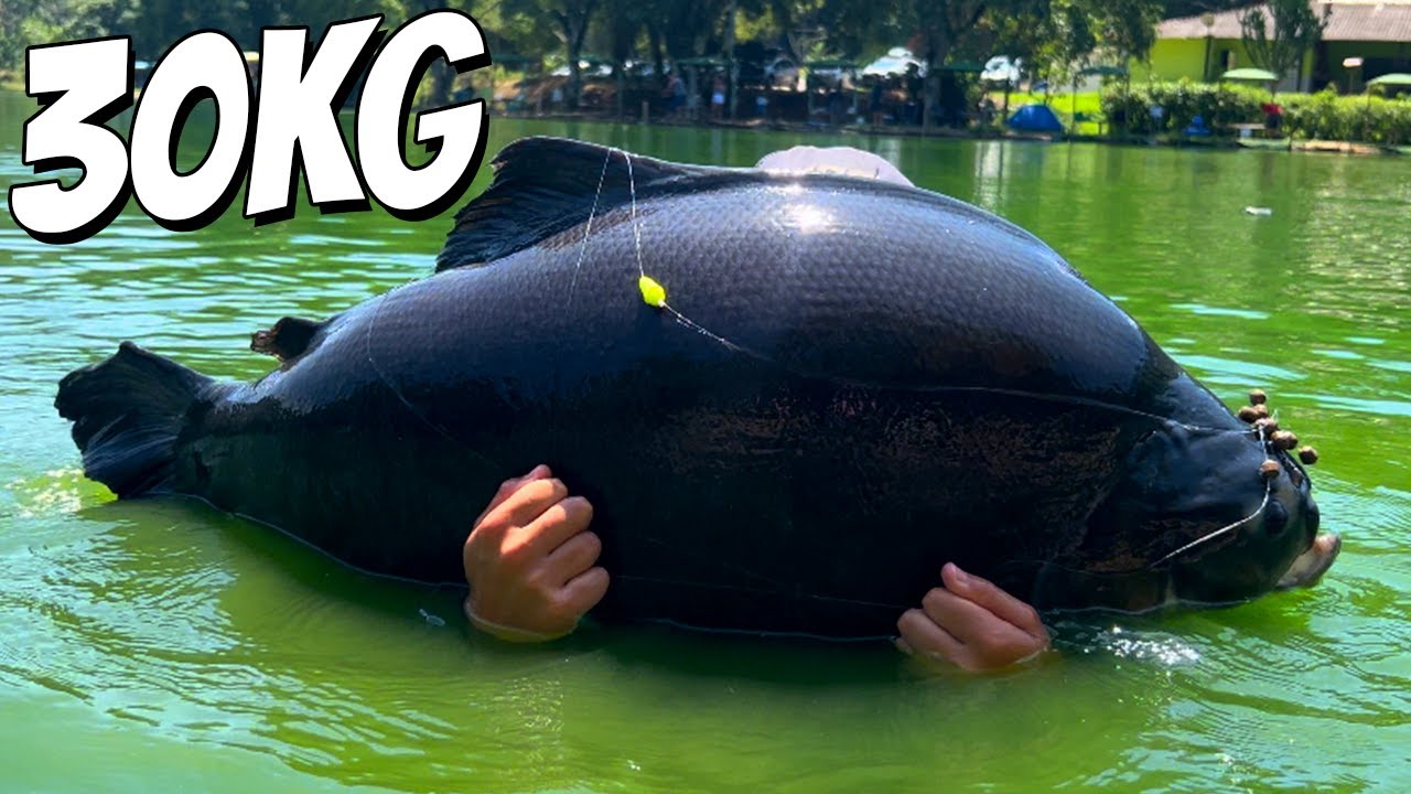 3 DIAS DE PESCA, TRINTADA NO 3 IRMÃOS