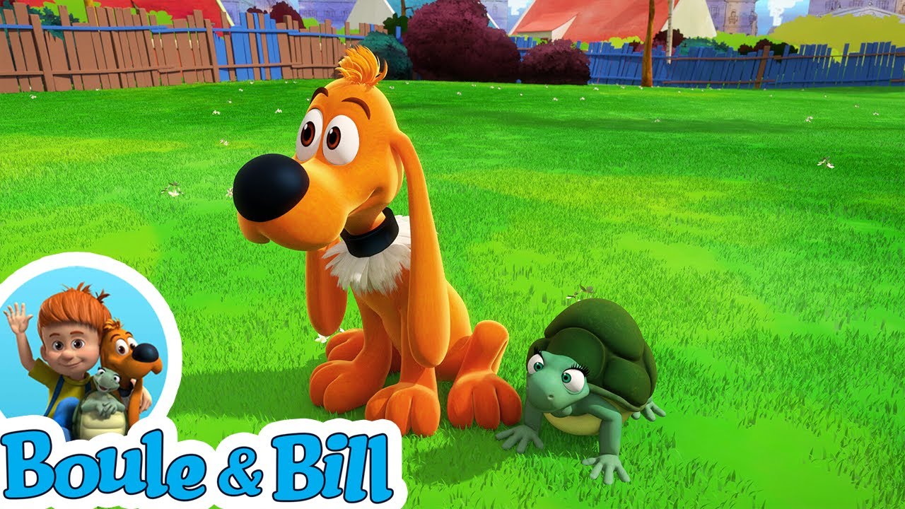 ☹️ Boule est devenu allergique aux animaux ?  💔 - Nouvelle compil épisodes complets Boule et Bill