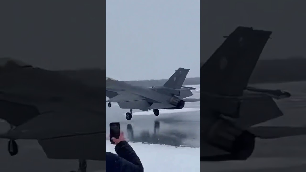 Emergency Landing Goes Wrong 😱