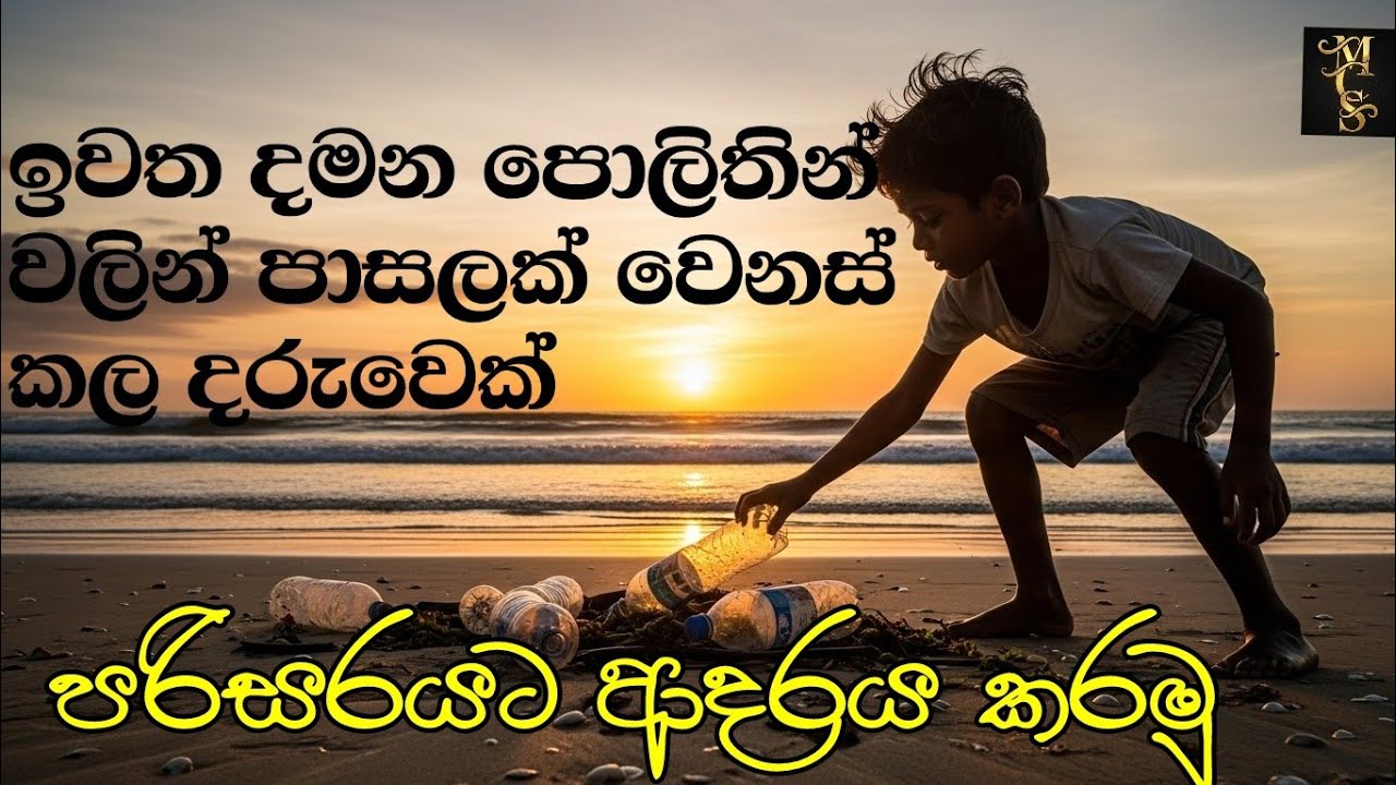ගගෙන් කියාදුන් පාඩම/ පොලිතින් වලින් පාසලක් වෙනස් කළ පුංචි ලොහස්ගේ කතාව Lessons From The River