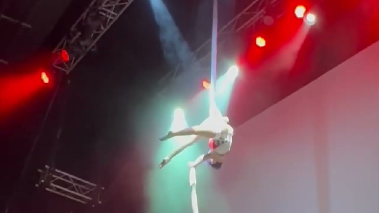 Never Enough Aerial Silks
