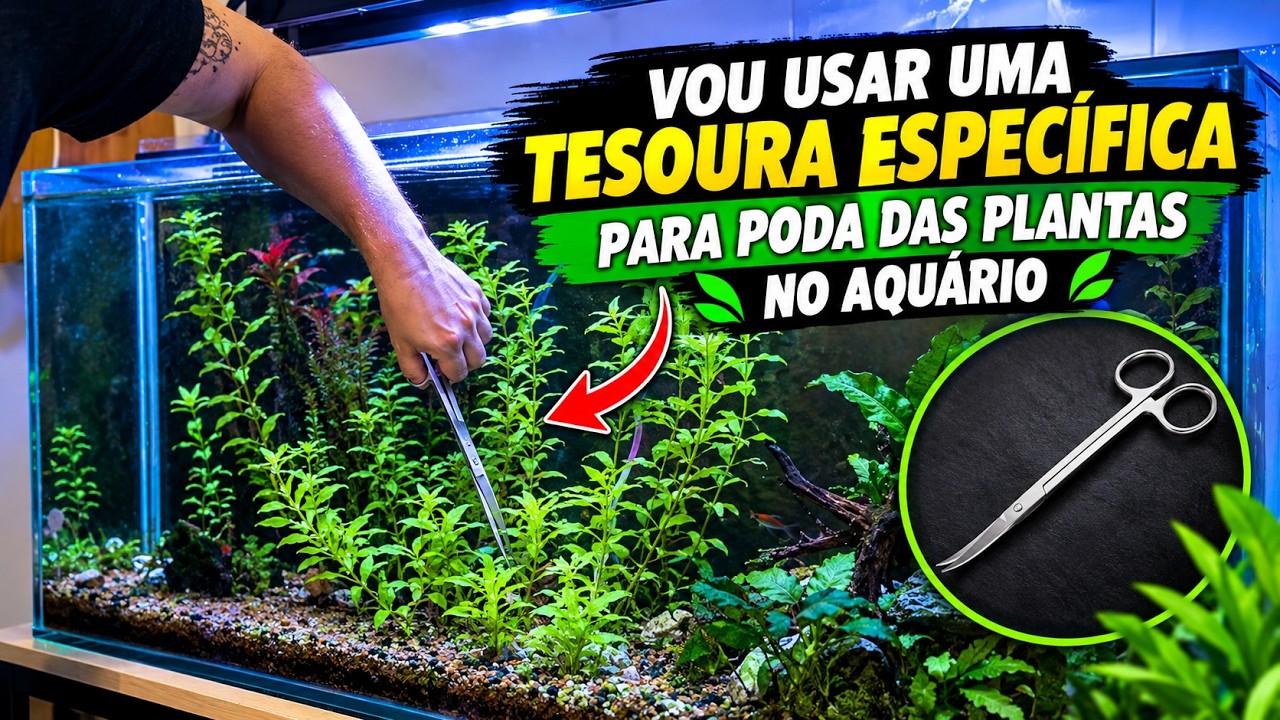 Tesoura de poda para plantas de aquário