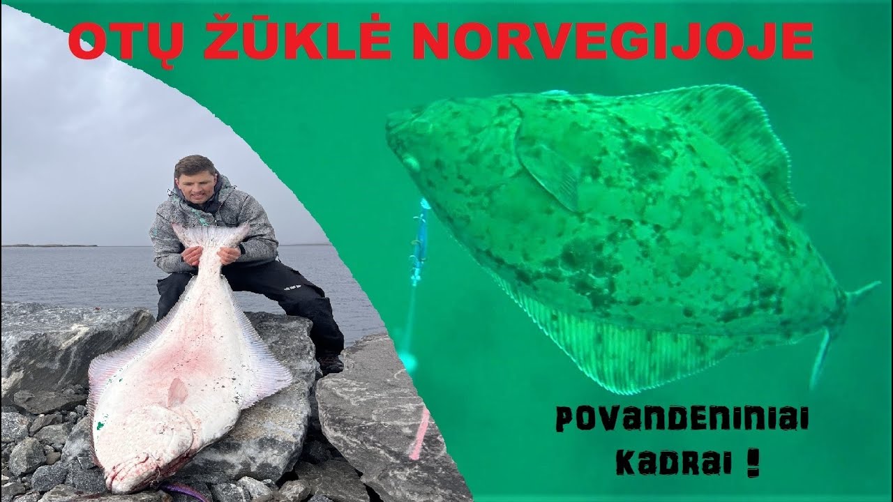 Otų žvejyba Norvegijoje