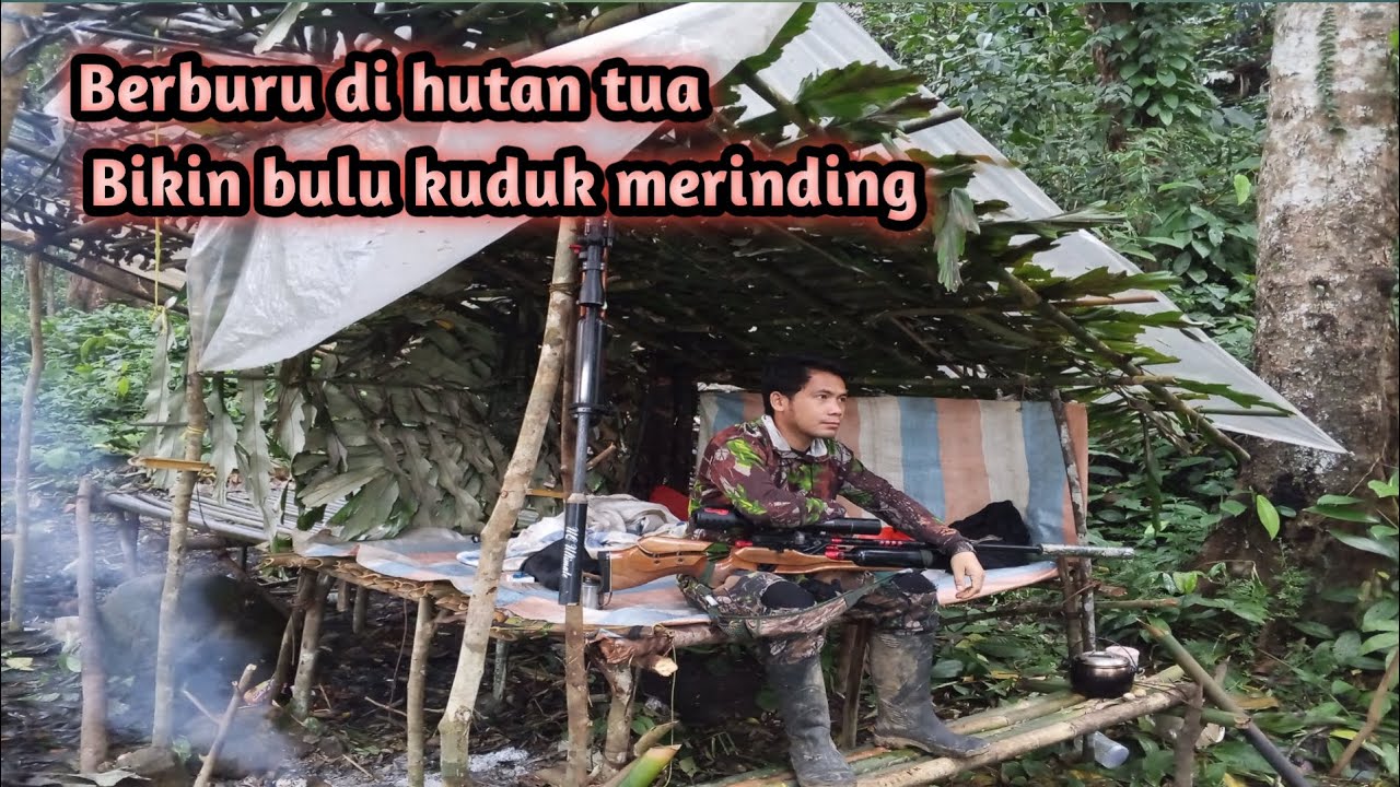 Berburu di hutan tua bikin bulu kuduk merinding 