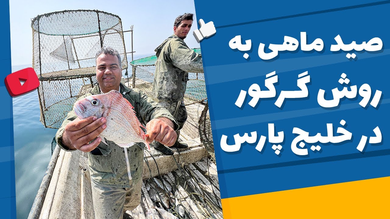 Cuttlefish fishing  in the Persian Gulf صید ماهی مرکب (خساک - کاتل فیش) در خلیج فارس با قایق و گرگور