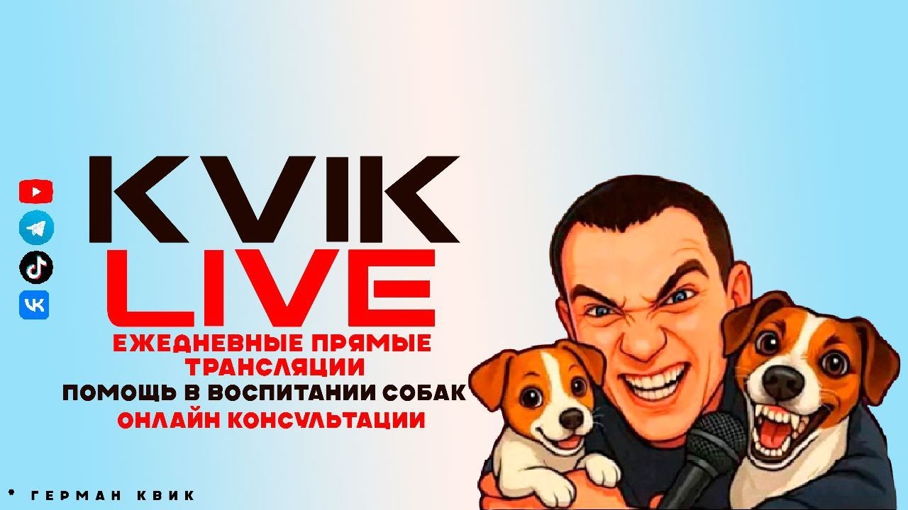 Человек собаке друг! (Герман Квик)