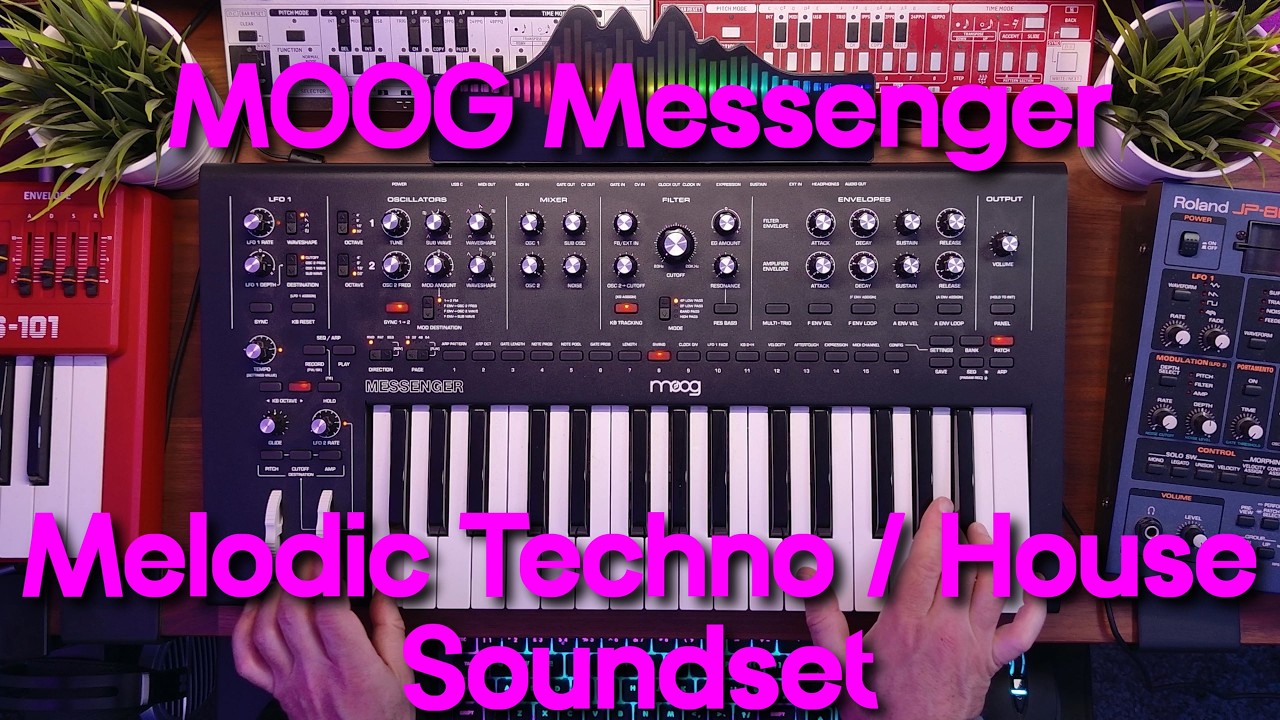 MOOG Messenger Techno/House/EDM Sound Pack