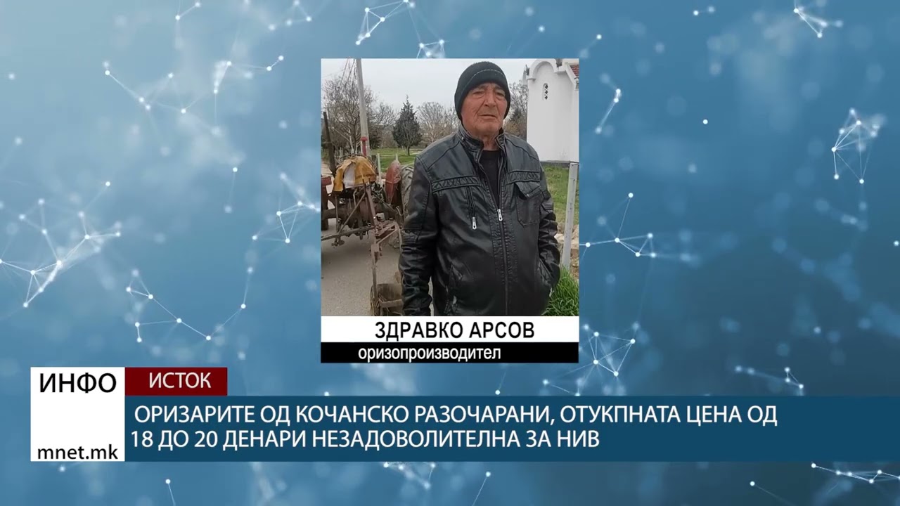 Оризарите од кочанско разочарани, отукпната цена од 18 до 20 денари незадоволителна за нив