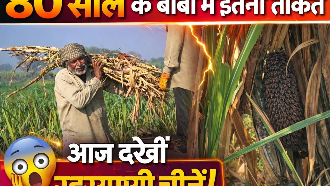 80 साल के बाबा की हिम्मत… और कुएं में छुपा विशाल अजगर! 🐍