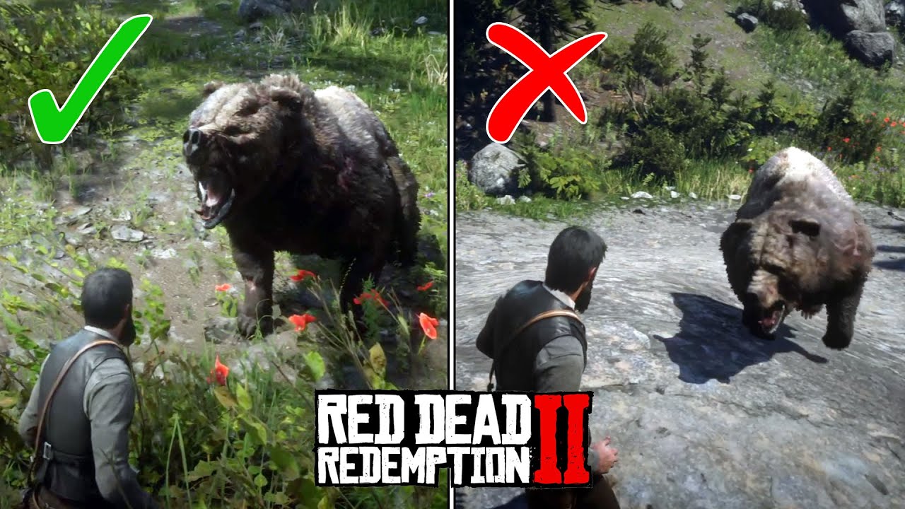 Stand Still vs. Try to Run Away in a Bear Encounter (RDR 2 Facts)