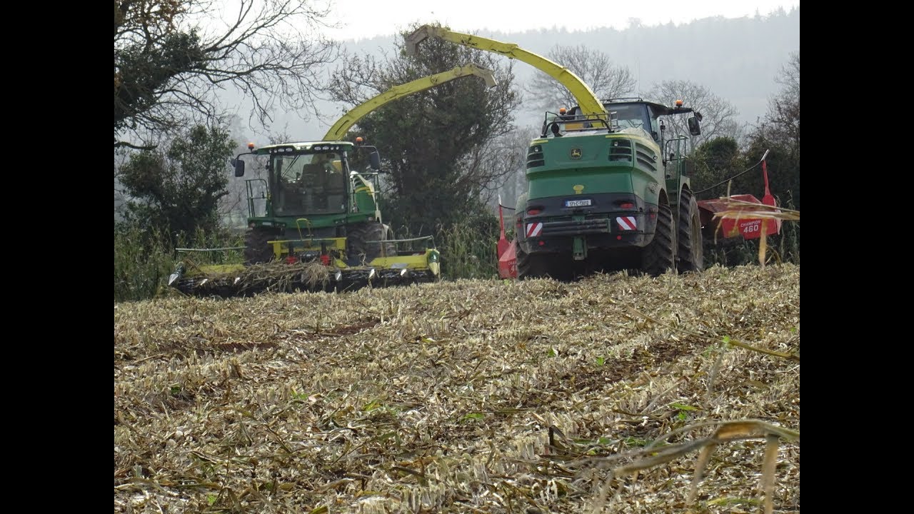 Maize 2017 Mike Cooney ft Crotty's