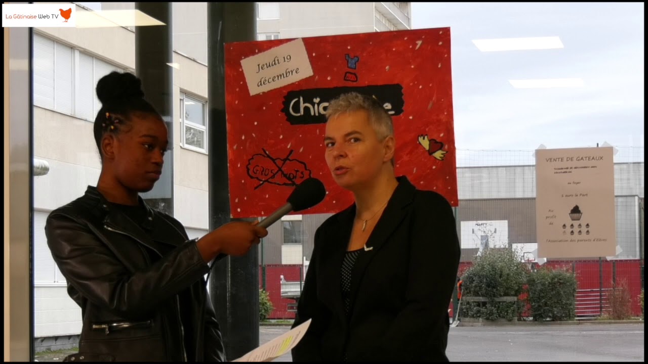 MAG 12 college le grand clos montargis