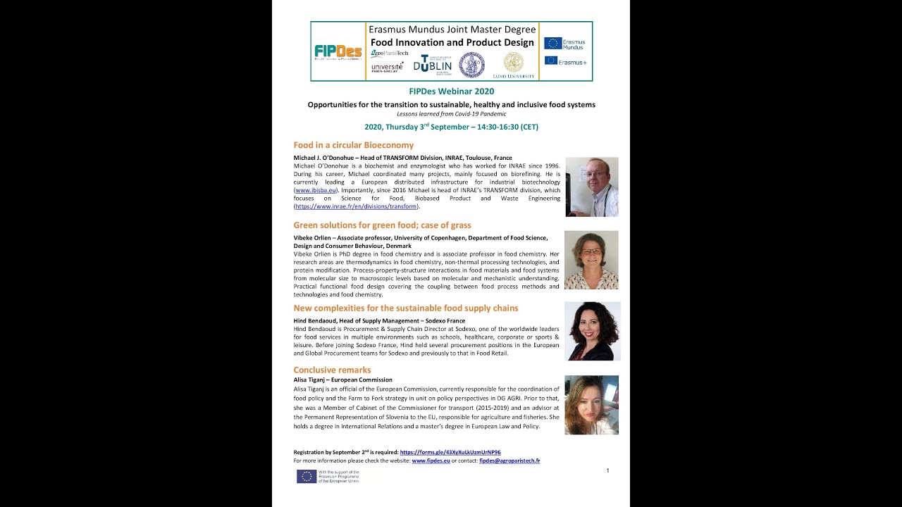 FIPDes Webinar 2020
