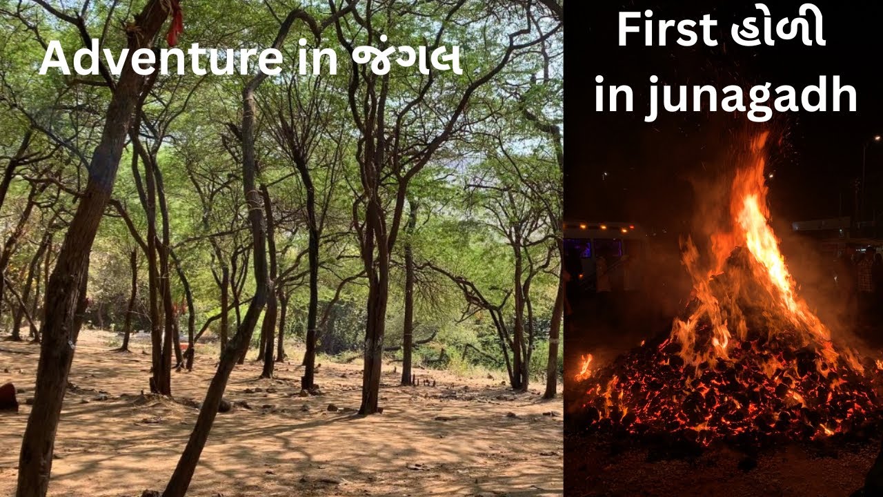 Aa kya pahochi gya jungle maa…🤯🫣