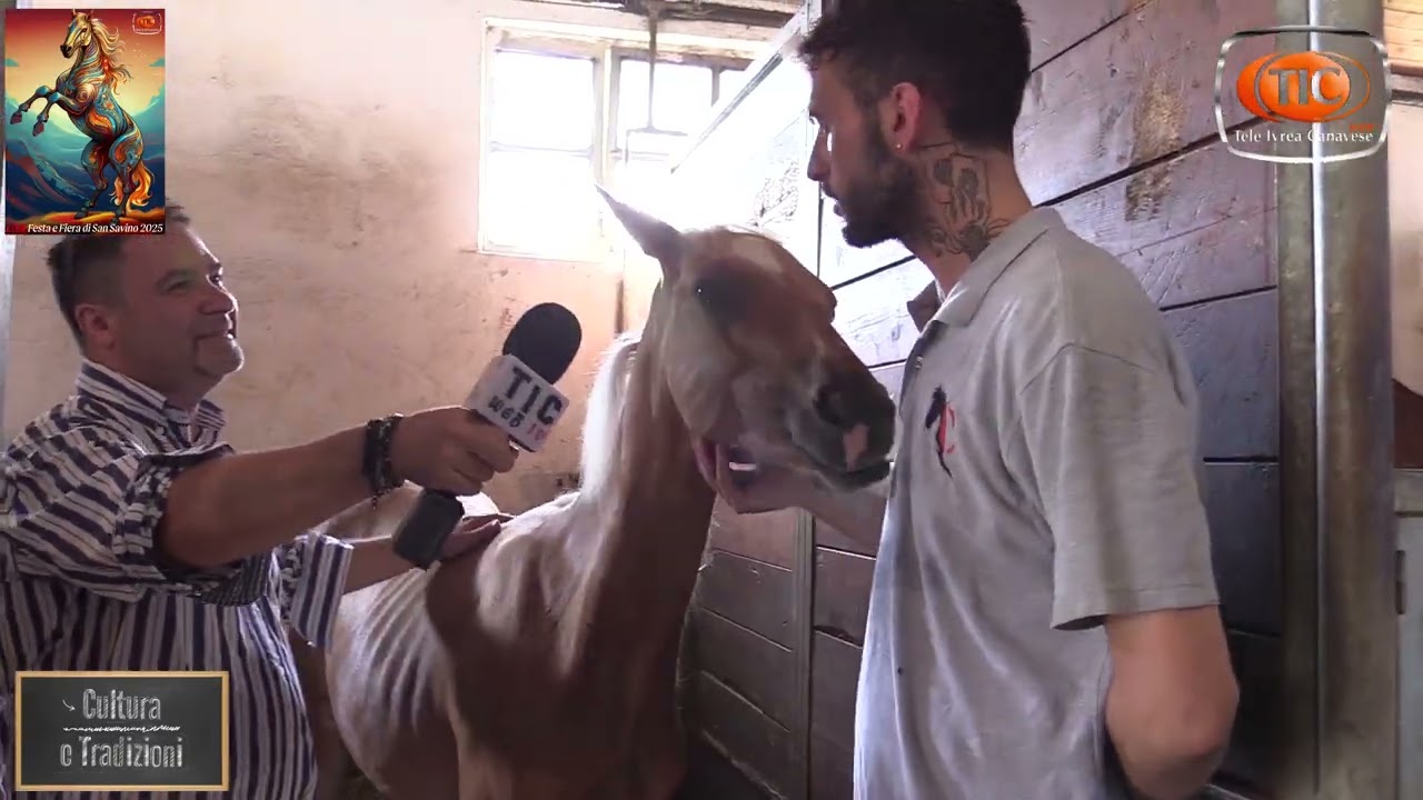 Ivrea - Speciale San Savino 2025: una giornata al maneggio Christian Racing Horses