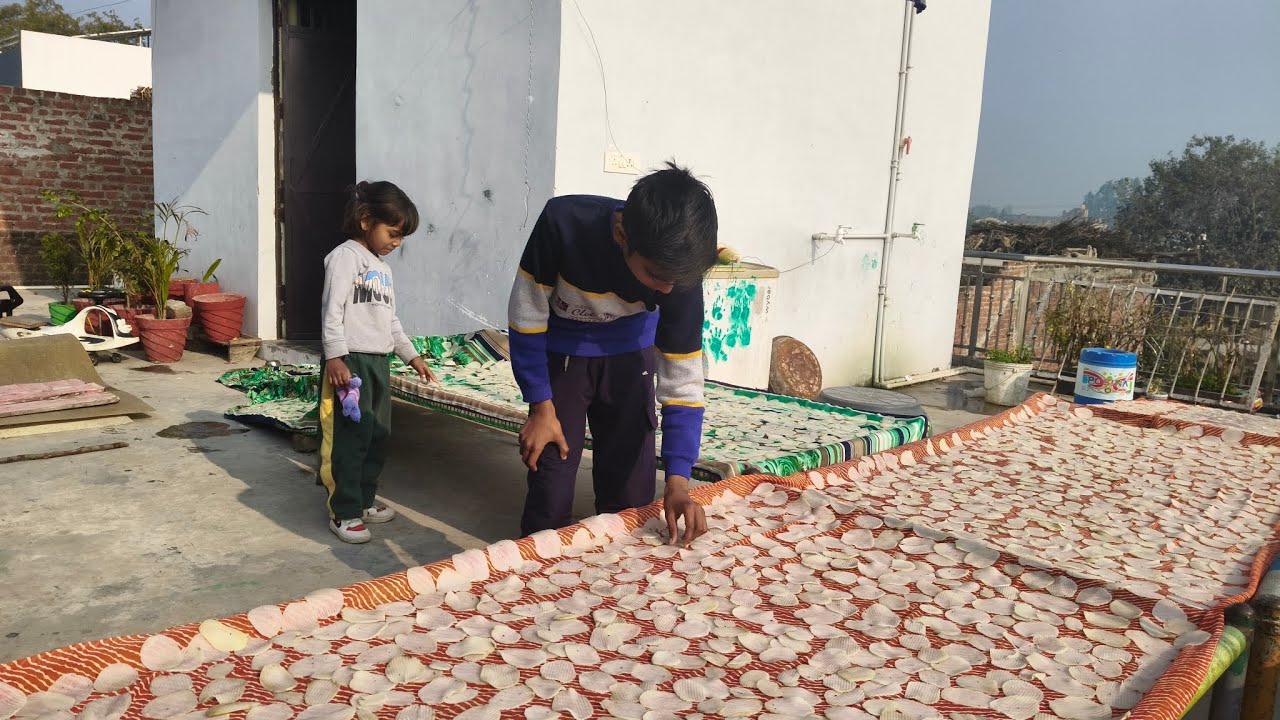 होली आने वाली है 🌸 घर की मस्ती और होममेड आलू चिप्स 🍟