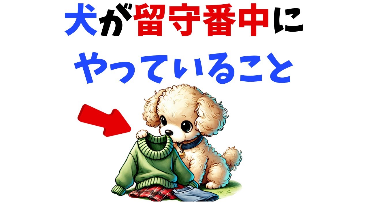 犬が留守番中にやっていること7選