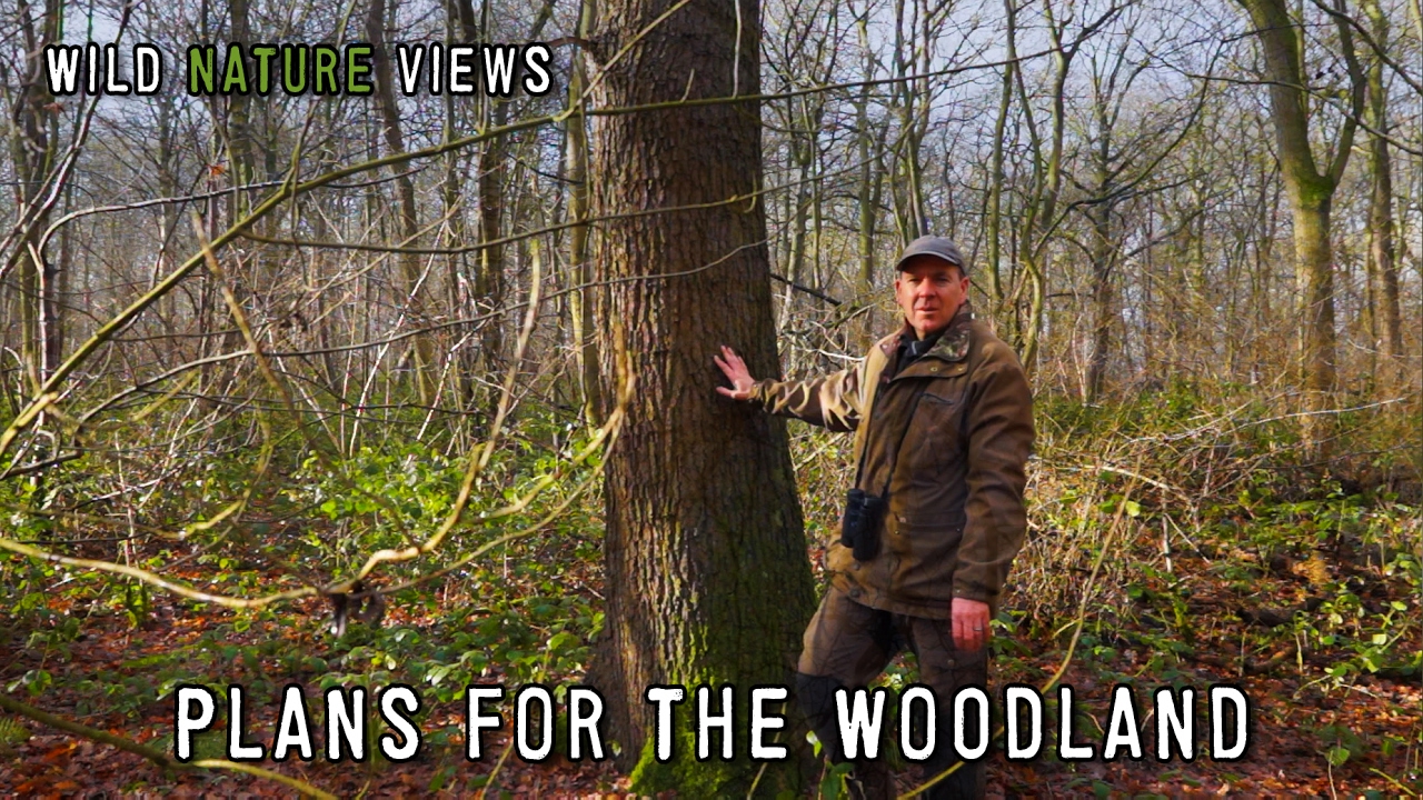 Plans for the Woodland