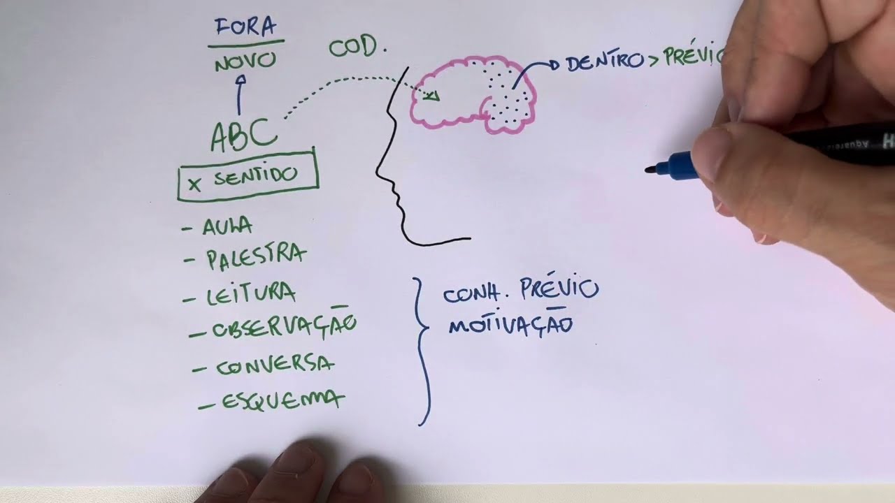 CODIFICA&Ccedil;&Atilde;O: Como seu c&eacute;rebro compreende um novo conte&uacute;do