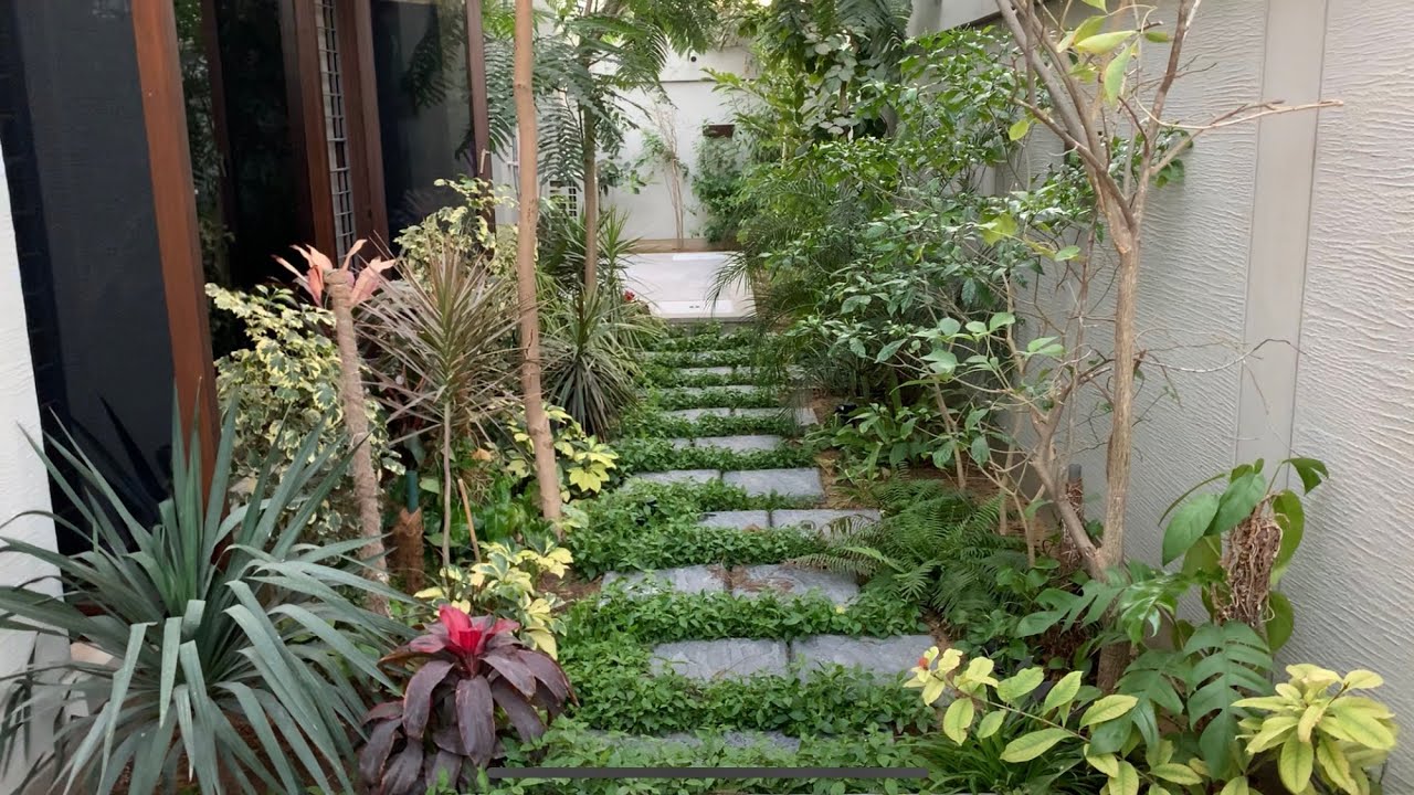 Karachi tropical home garden