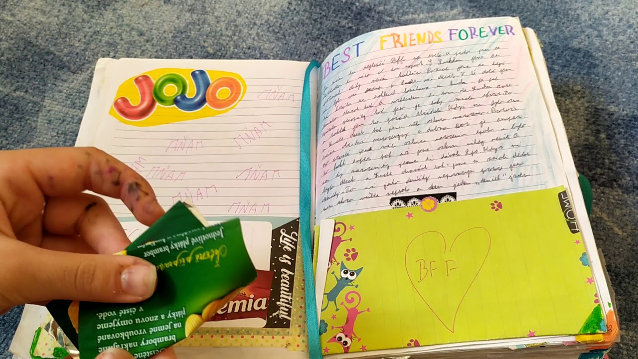 Můj druhý deník #1