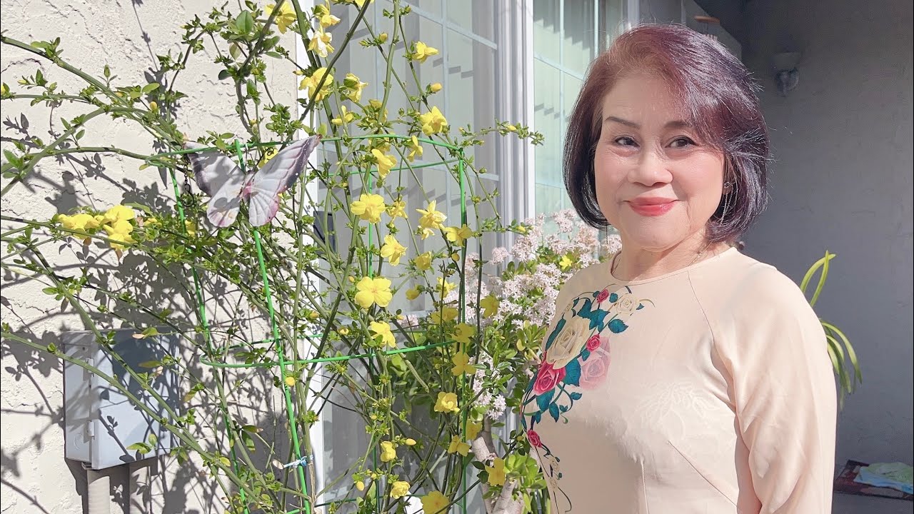 Xuân Đã Về Cover – Sáng tác: Minh Kỳ | Trình bày: Phương Tịnh
