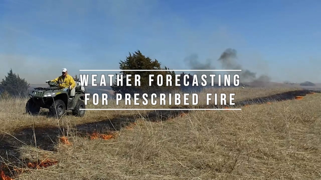 Weather Forecasting for Prescribed Fire