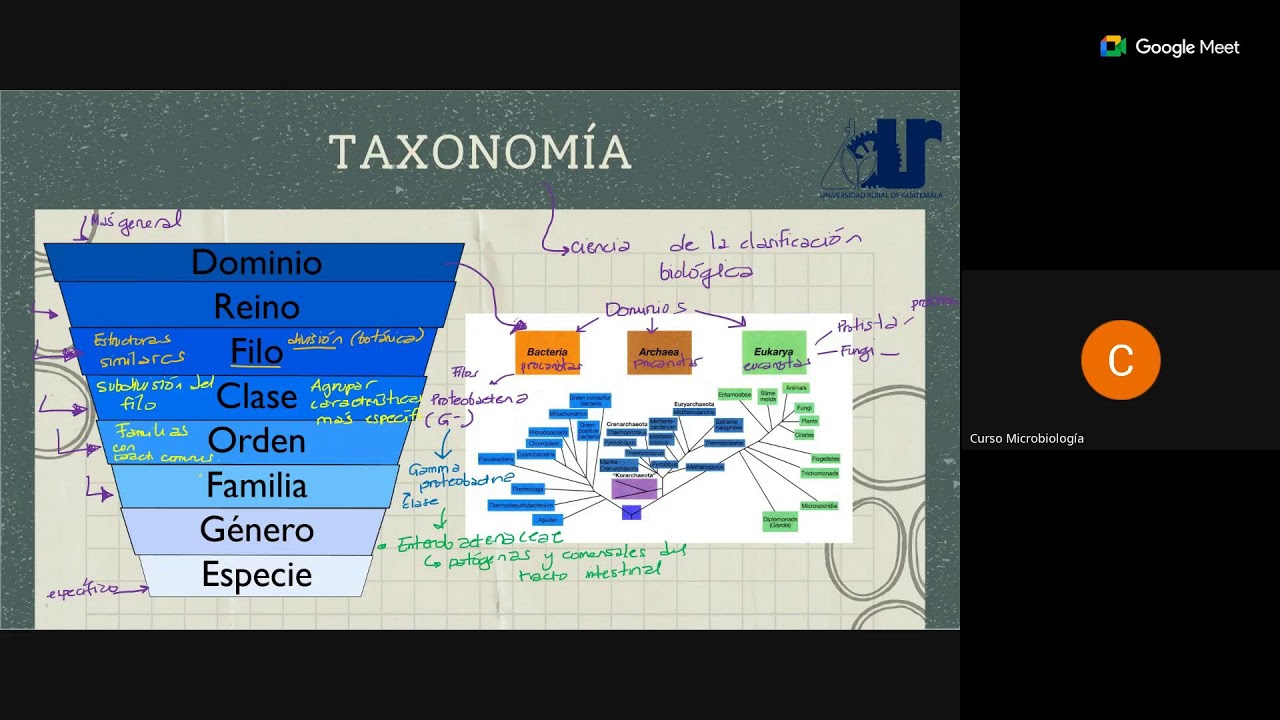 Clase 04 Sábado- Clasificación de los microorganismos