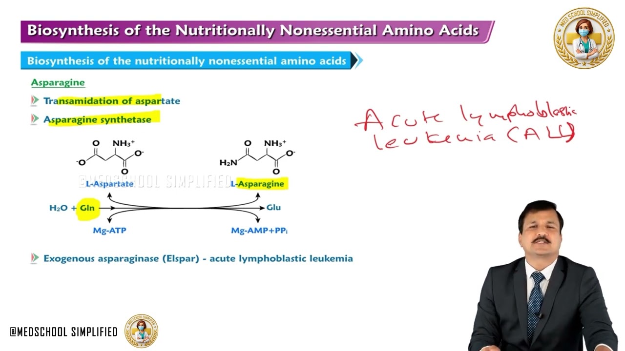 8. Biosynthesis of Non-Essential Amino Acids | Medical Biochemistry | MBBS 1st Year | USMLE Step 1