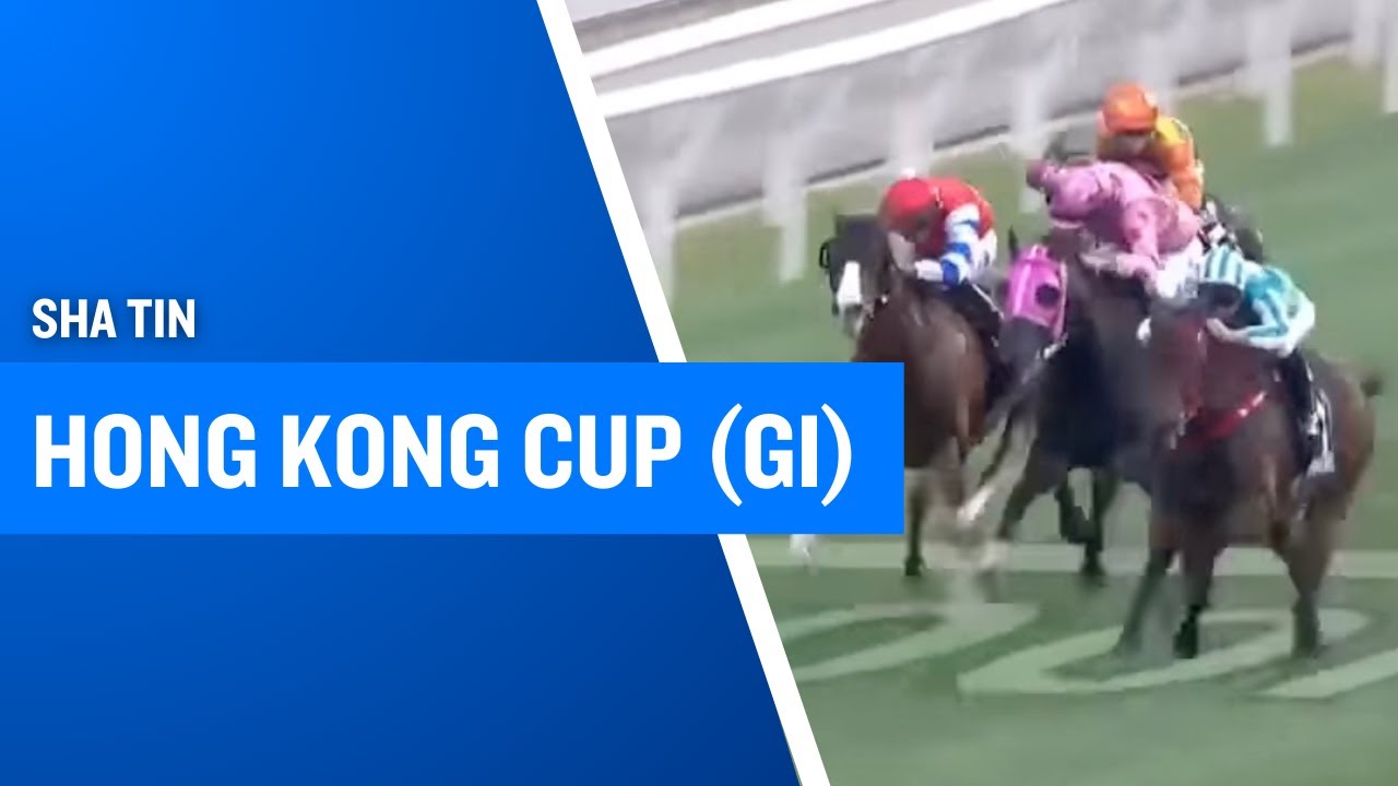 2025 G1 Hong Kong Cup Featuring Romantic Warrior
