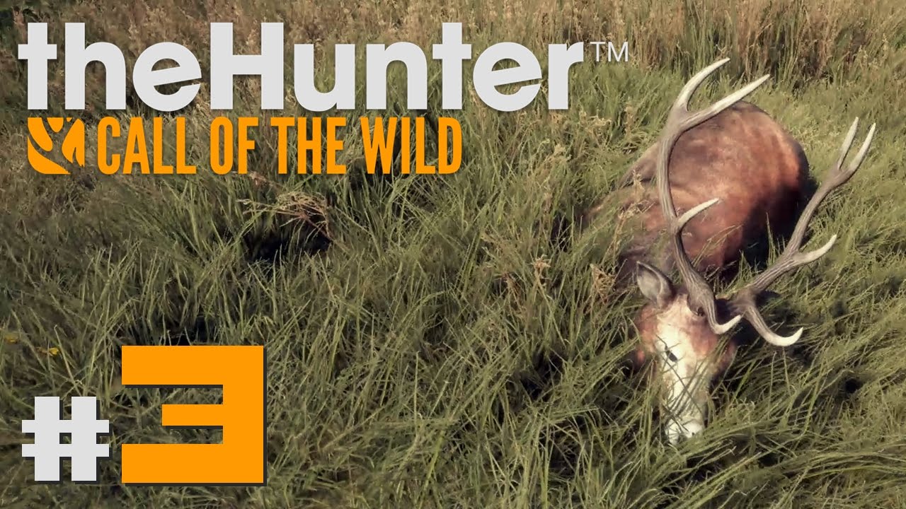 🦌 theHunter: Call of the Wild #3 | PRIMER CIERVO Y ZORRO! :D | Gameplay en Español