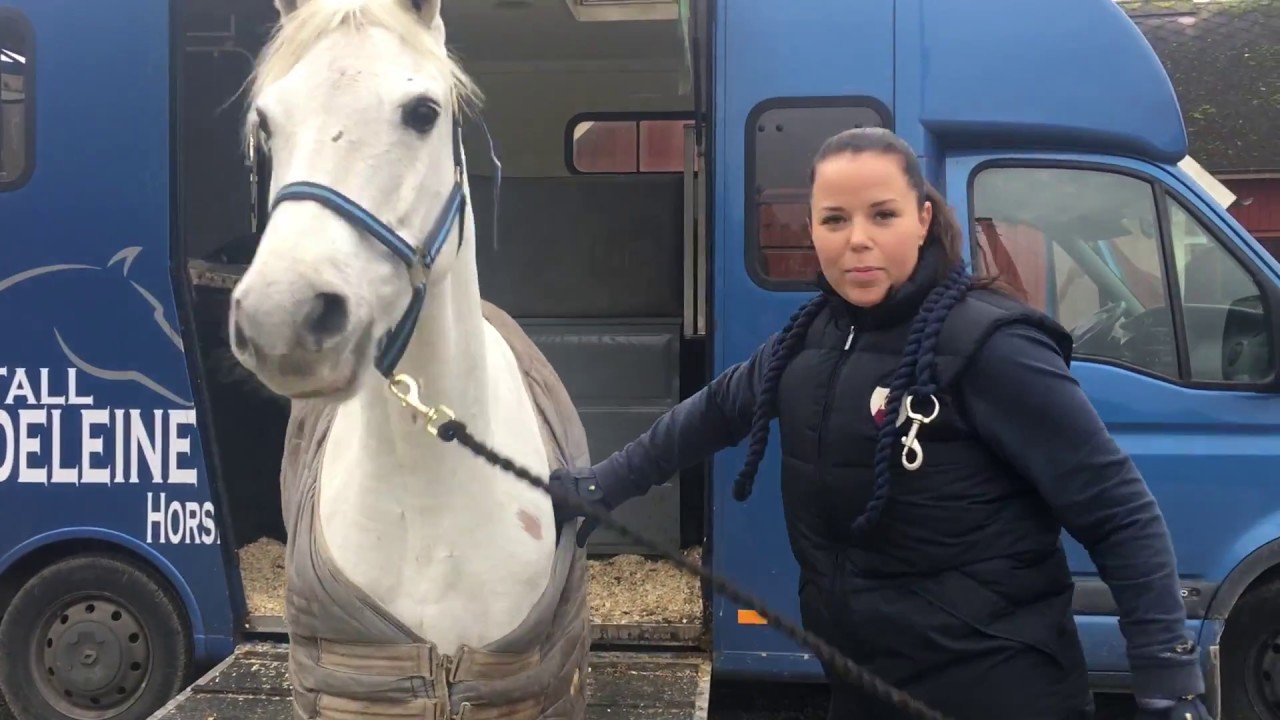 VLOGG l Hästleverans från Irland, Stall Madeleine El Hanafi
