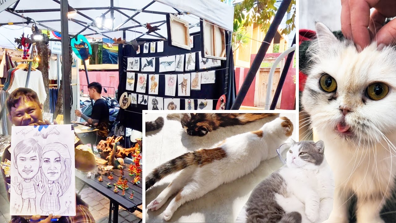 Cuddles at Mali Cat Cafe + Chiang Mai's Best Weekend Market