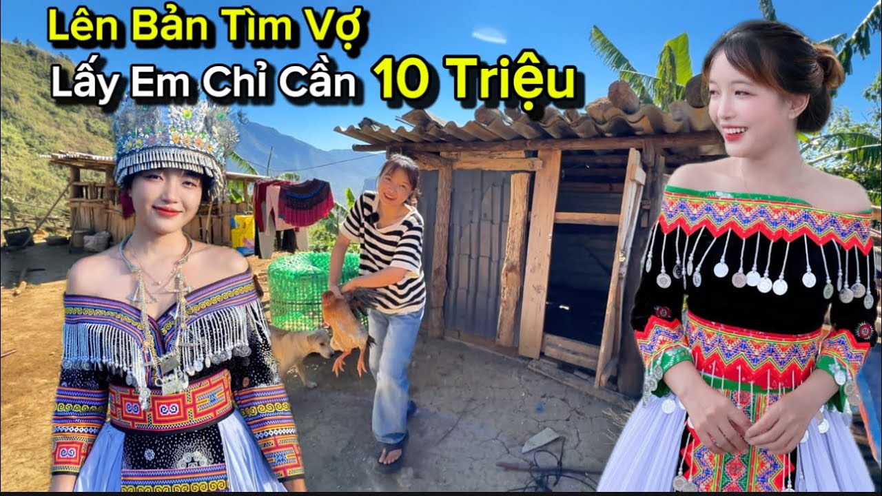 Bị Sơn Nữ Người Mông Dọa Bắt Ở Lại Làm Chồng, Quá Bớt Ngờ Lấy Vợ Chỉ Cần 10 Triệu