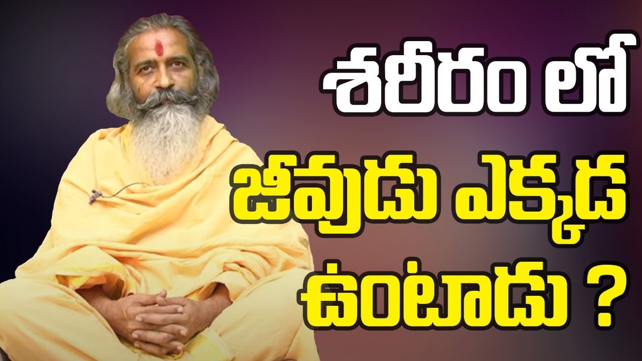 శరీరం లో జీవుడు ఎక్కడ ఉంటాడు ? | Divya Gnana Siddhanthi | Dhyanaprastham | Sree Sannidhi TV