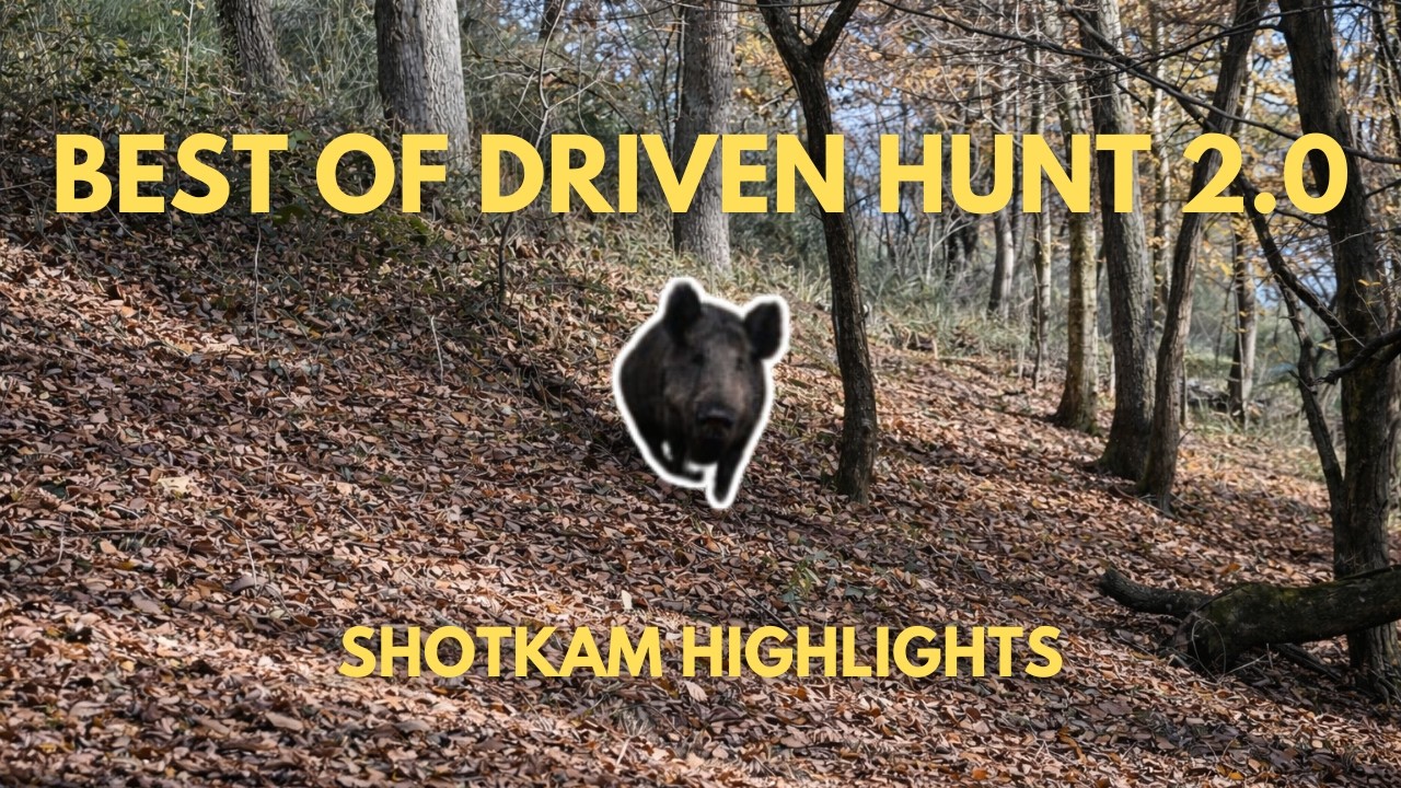 BEST OF DRIVEN HUNT 2.0 2025 - Battue  - Monteria compilation