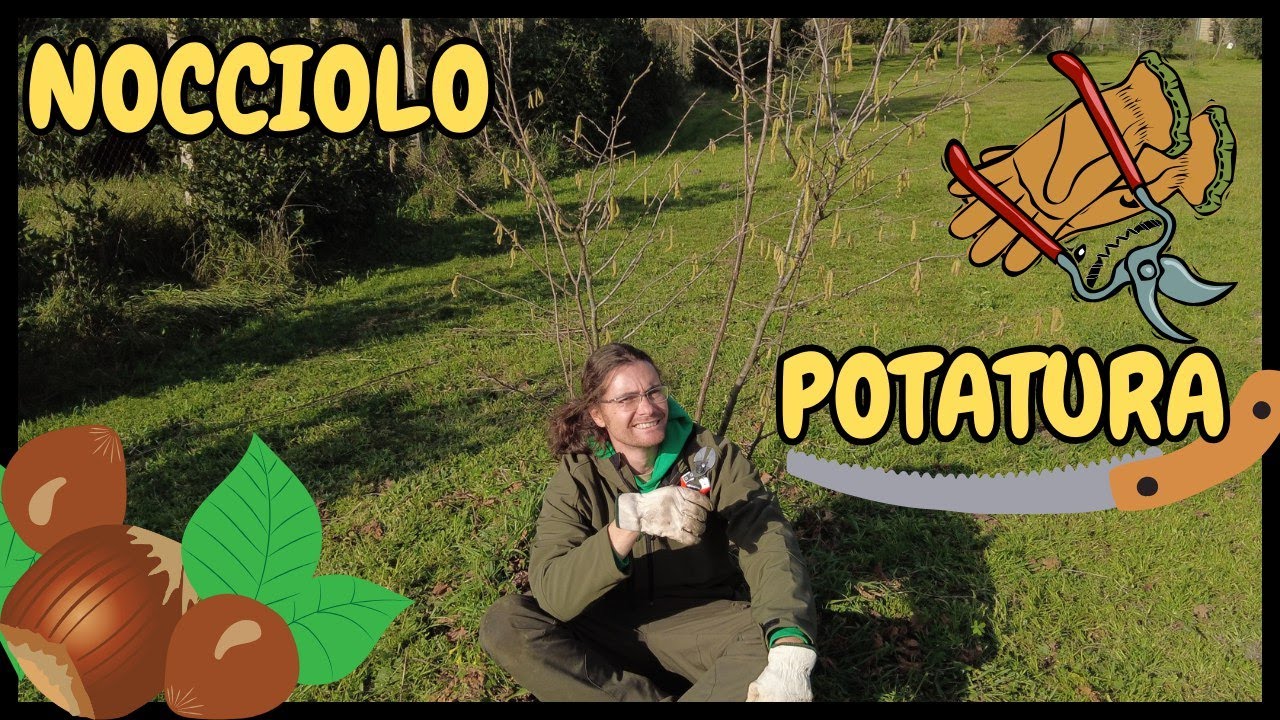 GUIDA PRATICA per POTARE il tuo NOCCIOLO con SUCCESSO | Tutorial Potatura