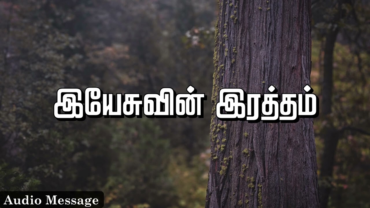 ஆவிக்குரிய சிந்தனை | இயேசுவின் இரத்தம்! | Spiritual Thoughts | SYM |