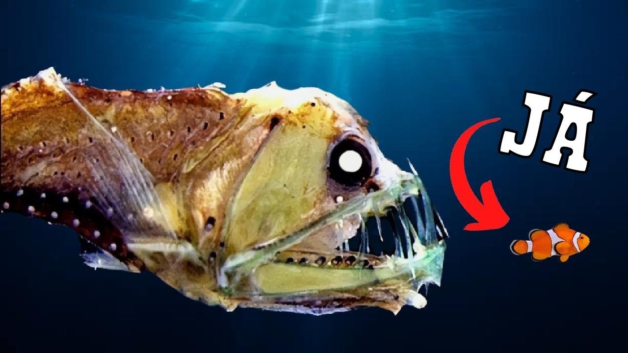 JAK PŘEŽÍT V ŘECE PLNÉ PREDÁTORŮ?! | Feed & Grow: Fish