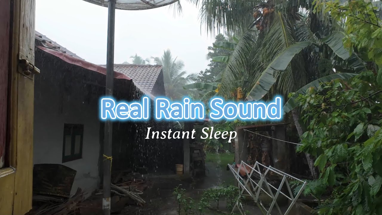 Heavy Rain in the Backyard for Deep Sleep | Real Rain Sounds on Roof