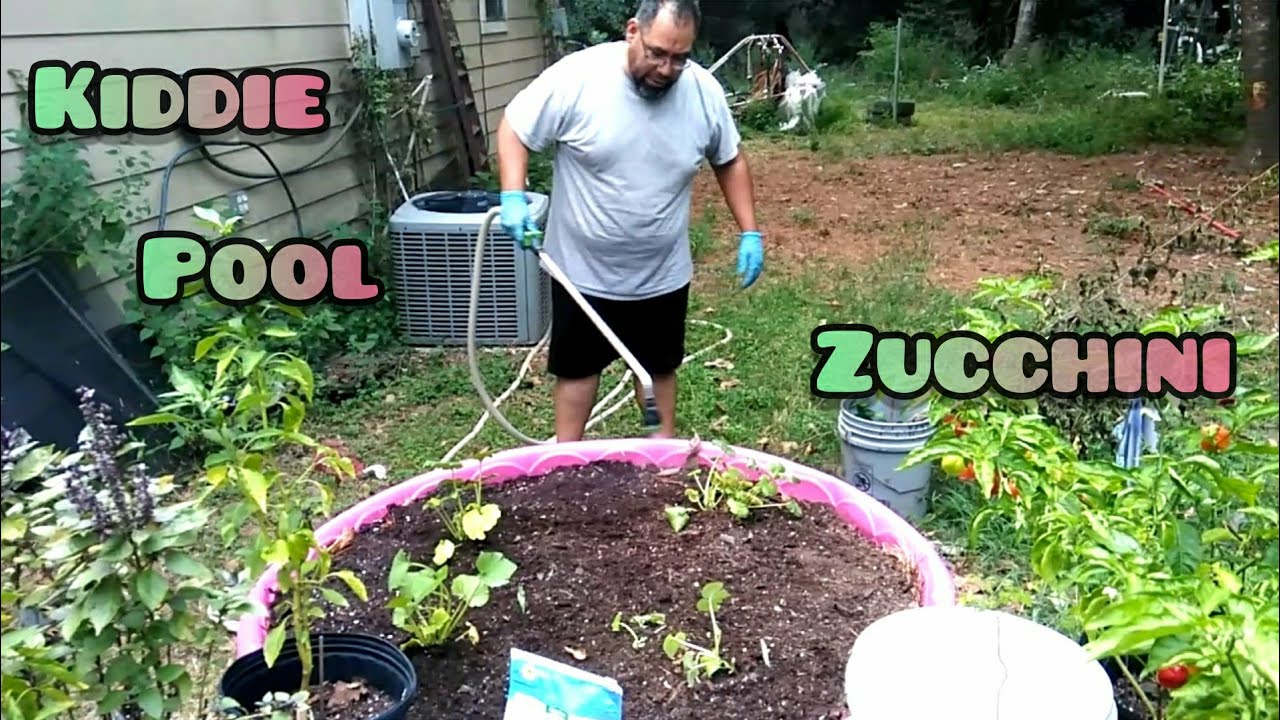 Kiddie Pool Zucchini