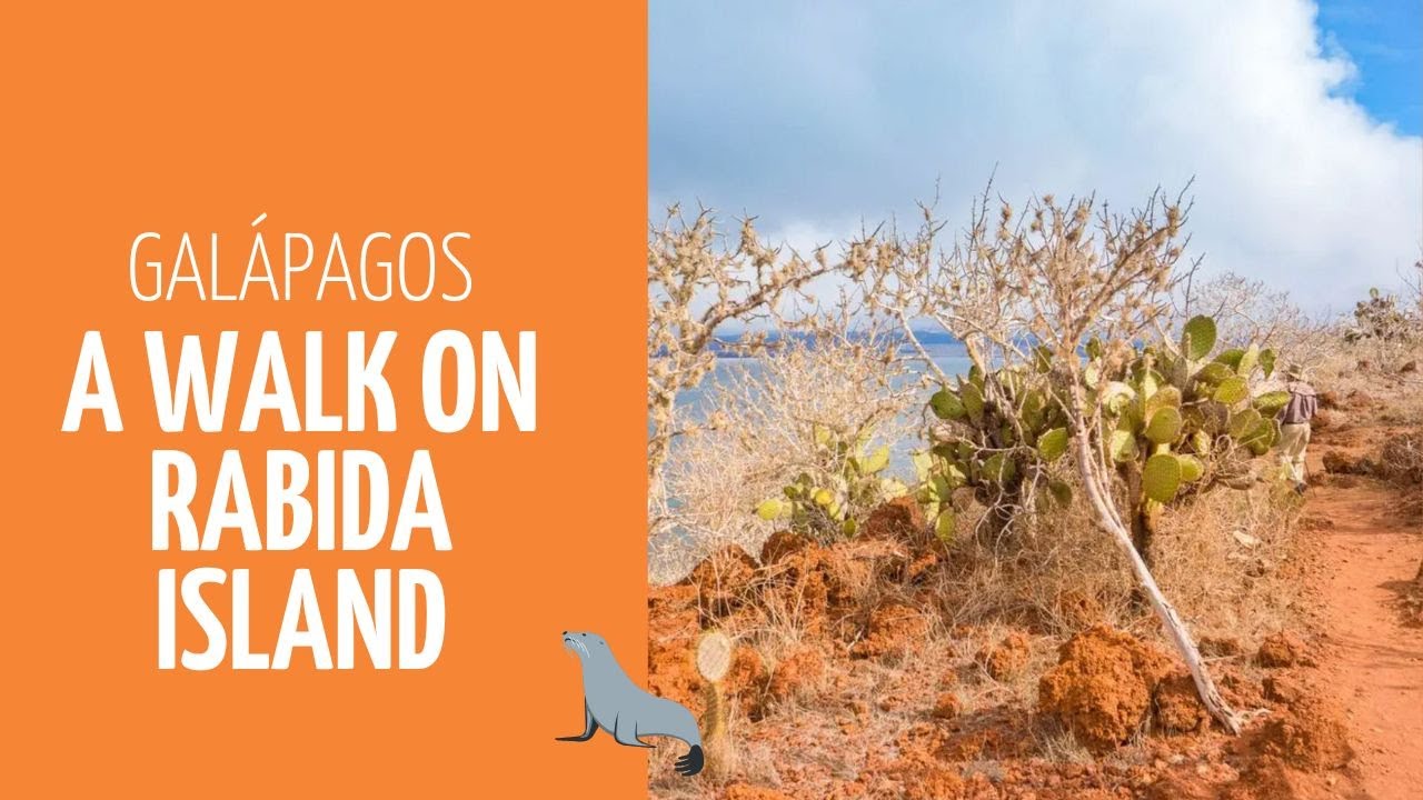 Galapagos - A walk on Rabida Island