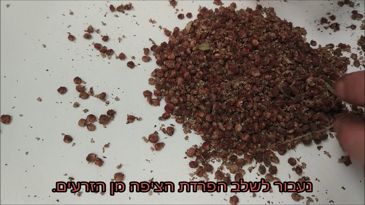 עשי זאת בעצמך: הכנת תבלין סומק