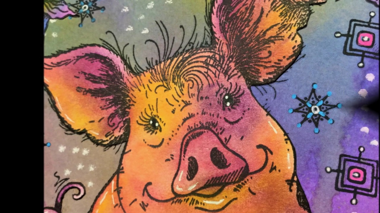 Pigtastic