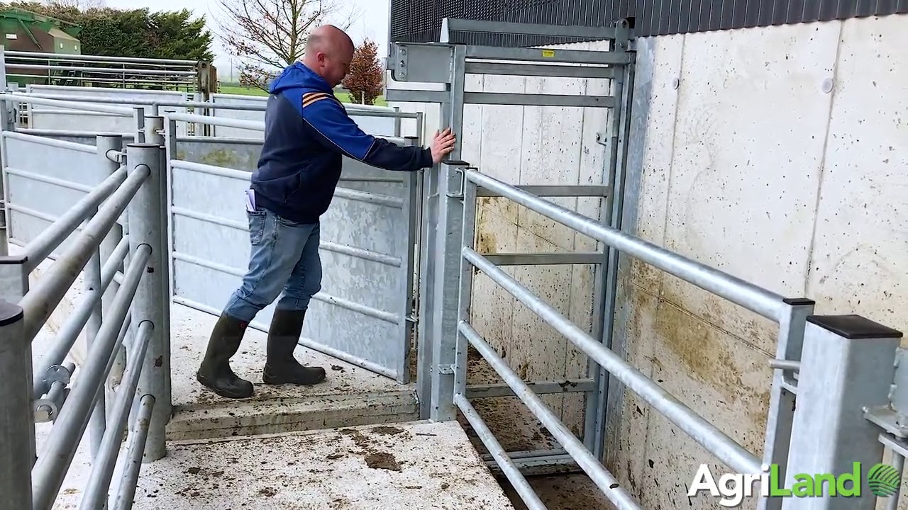 Loose shed and a first-class handling facility in Co. Tipperary - Buildings Focus