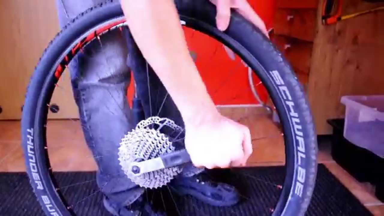 Velký servis jízdního kola – Sport-Racing-Bike Zlín