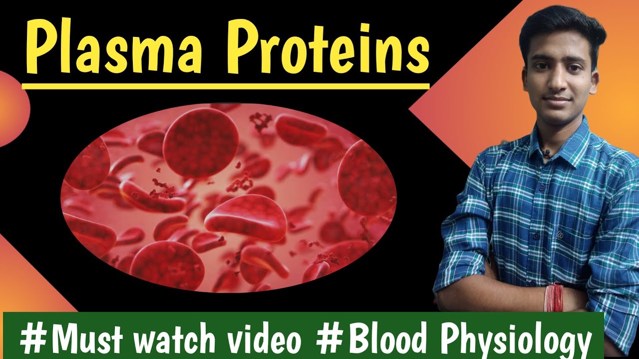 Plasma Proteins ||Blood Physiology||Lectures || in hindi|| Ashish Agrawal